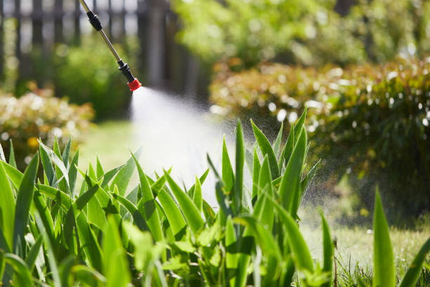 24/7 Emergency Cockroach Control experts in Atwood, IL