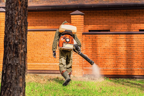 Trusted Bed Bug Control service in Atwood, IL - Nex Pest Control